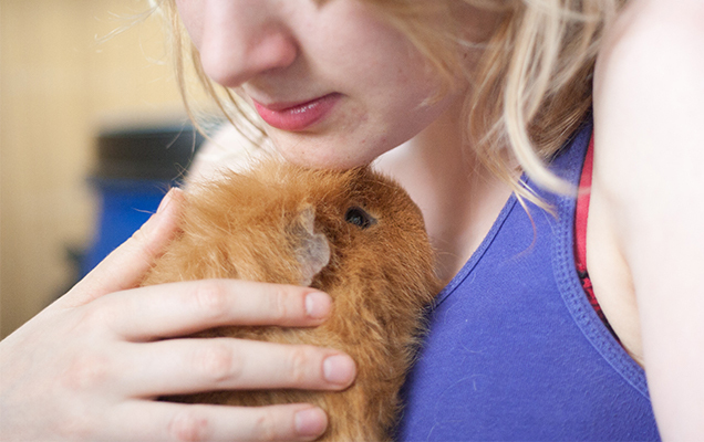 Girl cuddling guinea pig